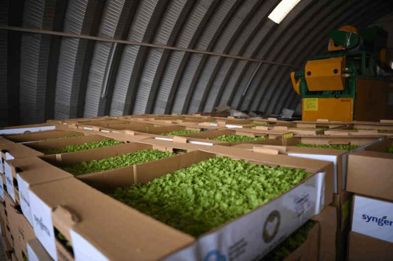 baskan-akin-destekliyor-kadin-ciftciler-topragin-bereketini-artiriyor