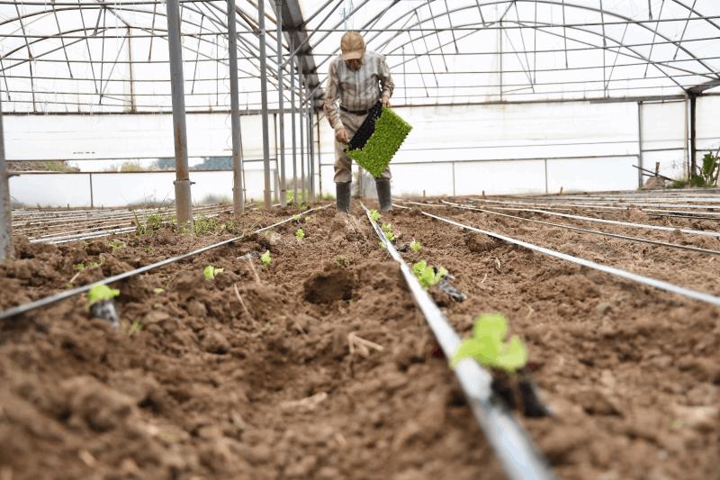 buyuksehir-destegiyle-topraklar-bereketlendi