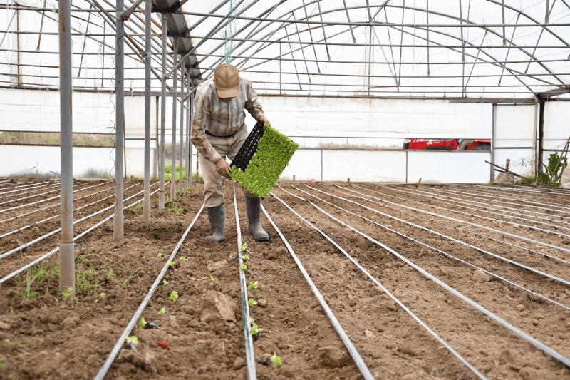 buyuksehir-destegiyle-topraklar-bereketlendi