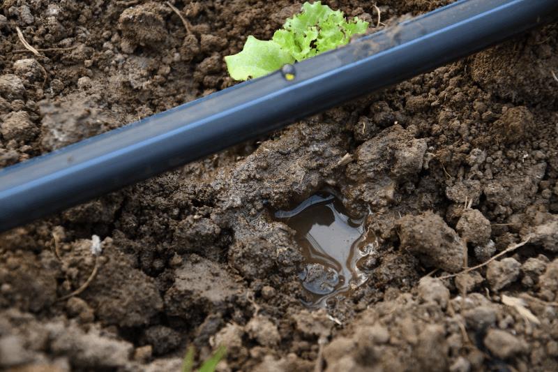 buyuksehir-destegiyle-topraklar-bereketlendi