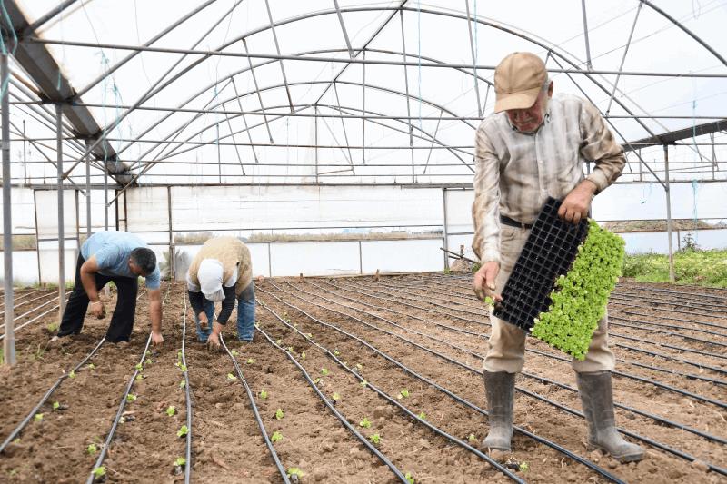 buyuksehir-destegiyle-topraklar-bereketlendi