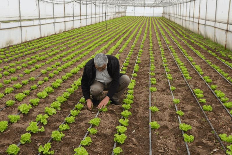 buyuksehir-destegiyle-topraklar-bereketlendi