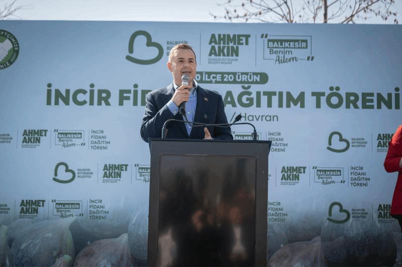 akindan-ureticilere-yuzde-100-hibeli-incir-fidani-destegi