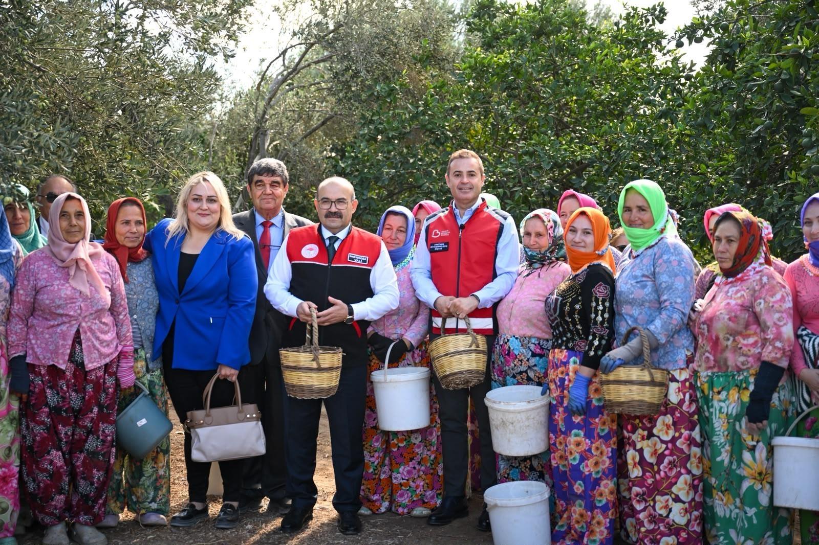 akin-altinova-mahallesinde-gerceklestirilen-zeytin-hasadina-katildi