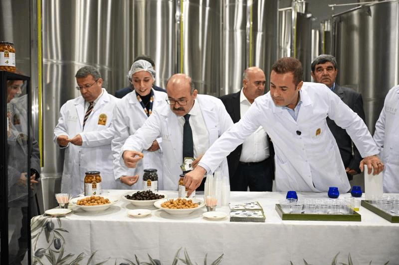 akin-altinova-mahallesinde-gerceklestirilen-zeytin-hasadina-katildi