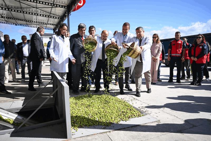 akin-altinova-mahallesinde-gerceklestirilen-zeytin-hasadina-katildi