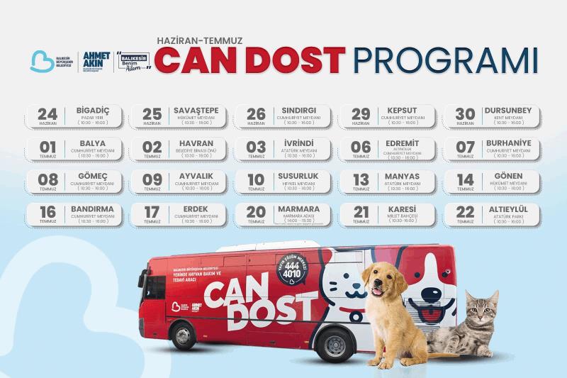 sokaktaki-canlar-buyuksehire-emanet