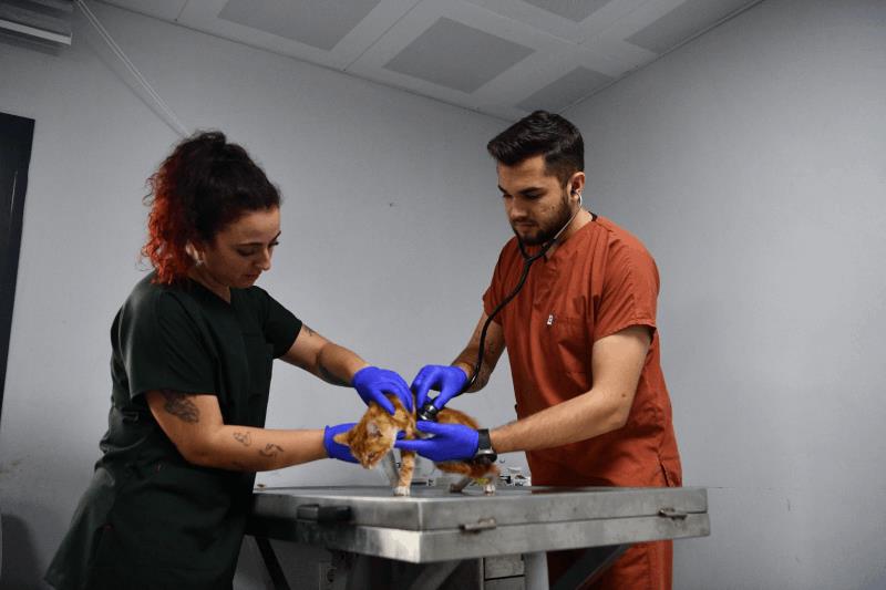 balikesirde-can-dostlar-buyuksehir-eliyle-guvende