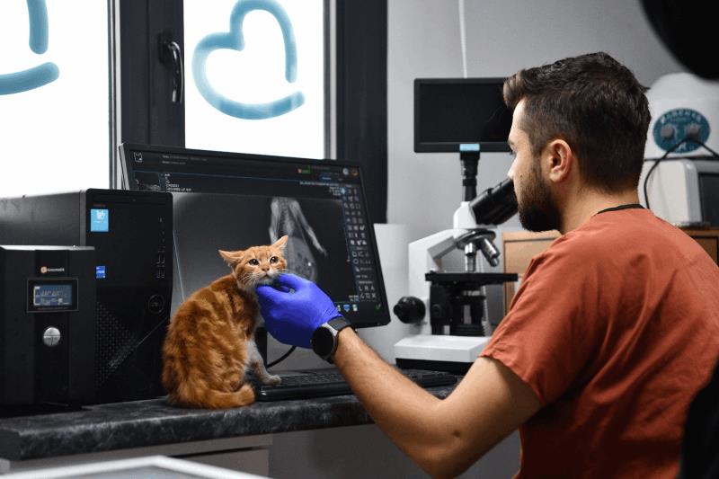 balikesirde-can-dostlar-buyuksehir-eliyle-guvende