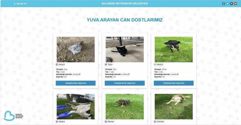 balikesirde-can-dostlar-buyuksehir-eliyle-guvende