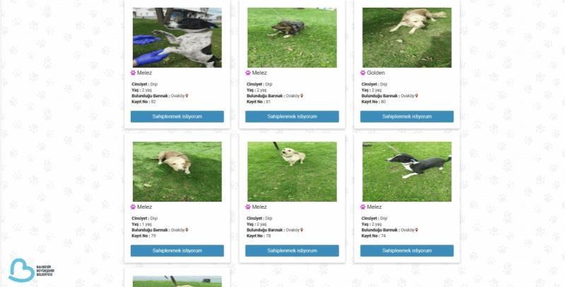 balikesirde-can-dostlar-buyuksehir-eliyle-guvende