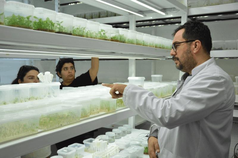 bacemde-v-bitki-doku-kulturu-kursu-tamamlandi