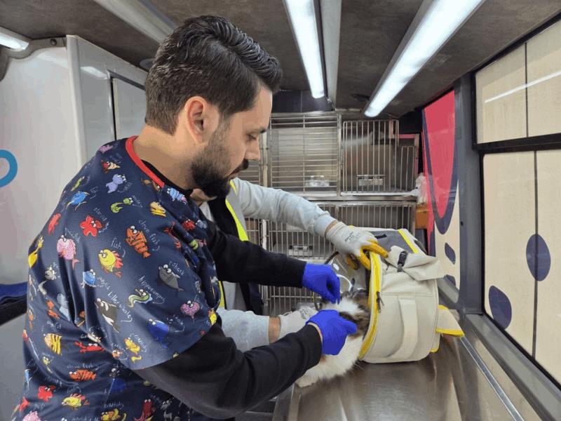 sokaktaki-patili-dostlar-buyuksehire-emanet-