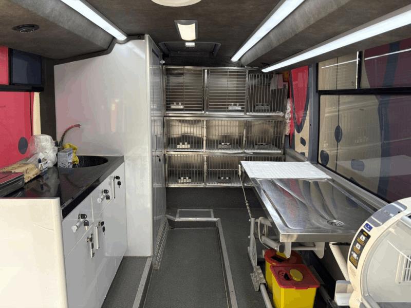 sokaktaki-patili-dostlar-buyuksehire-emanet-