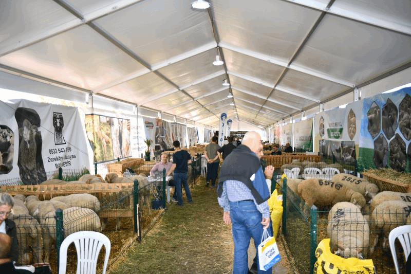 balikesir-tarim-ve-hayvancilik-fuari-ziyaretci-rekoru-kirdi