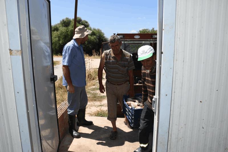 buyuksehirden-balikcilara-soguk-hava-deposu-destegi