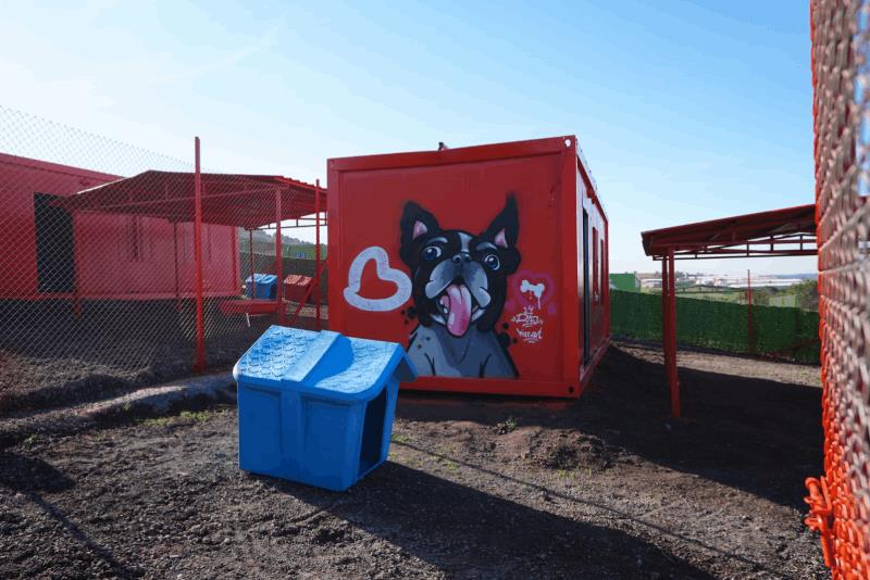 turkiyede-ilk-defa-ozel-gereksinimli-can-dostlara-sicak-yuva-balikesirde