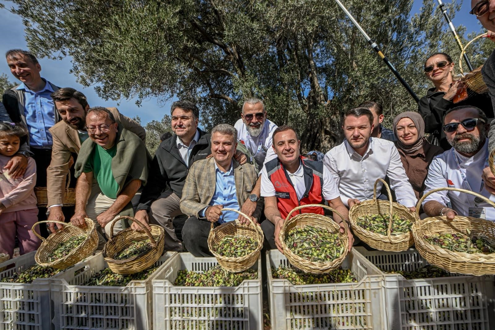 akin-havranda-zeytin-hasat-senligine-katildi