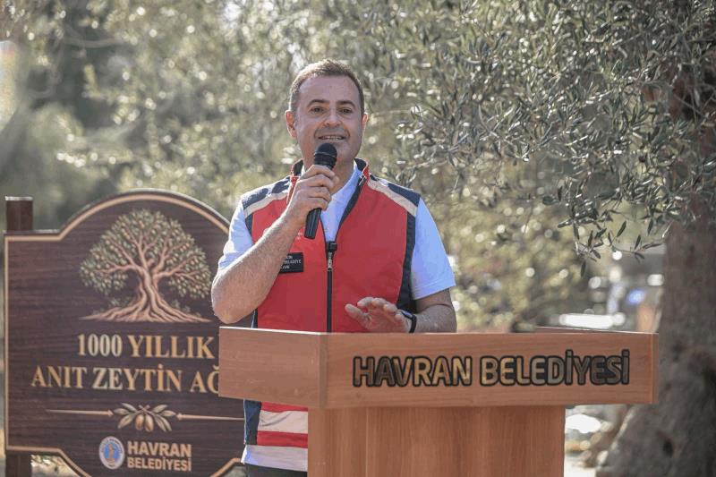 akin-havranda-zeytin-hasat-senligine-katildi