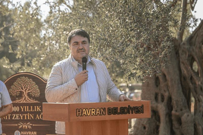 akin-havranda-zeytin-hasat-senligine-katildi