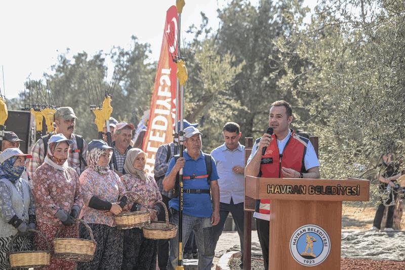 akin-havranda-zeytin-hasat-senligine-katildi