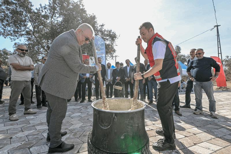 akin-havranda-zeytin-hasat-senligine-katildi