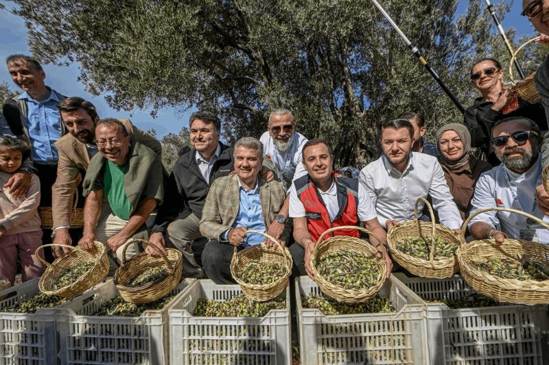 akin-havranda-zeytin-hasat-senligine-katildi