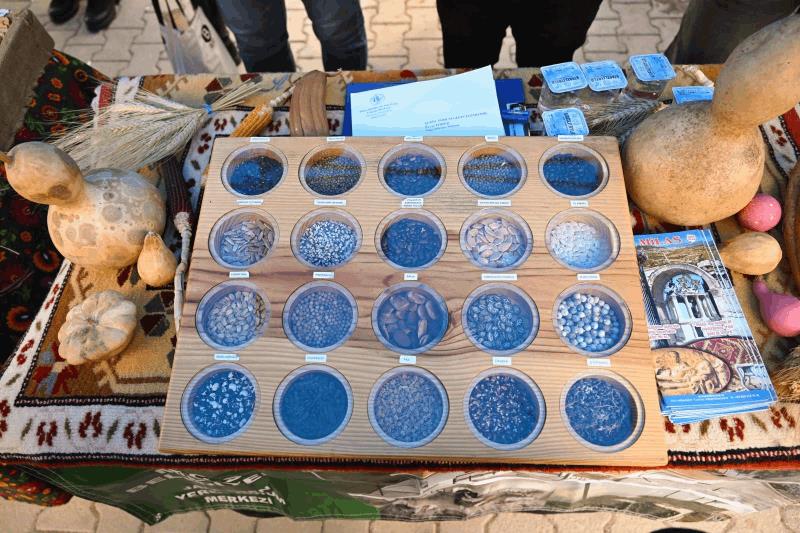 buyuksehir-kadin-ciftcilerin-emegini-koruyor-ata-mirasini-gelecege-aktariyor
