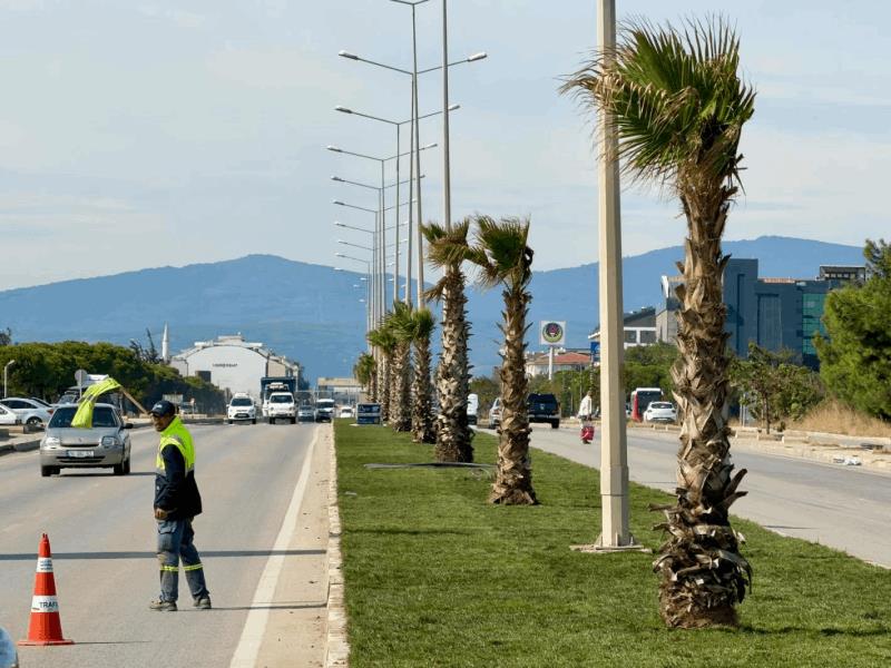 buyuksehir-belediyesi-bandirmanin-kent-girisini-bastan-asagi-yeniledi