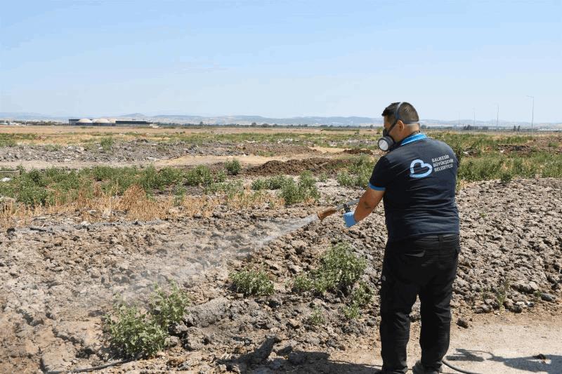 buyuksehir-ilaclama-ekipleri-724-sahada
