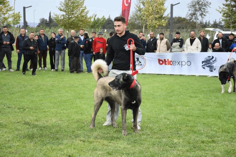 tarim-ve-hayvancilik-fuari-sehrin-uretim-gucunu-dunyaya-tanitti