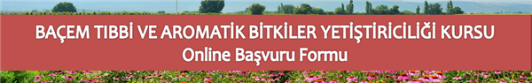 vi-uygulamali-ve-meb-sertifikali-tibbi-aromatik-bitkiler-yetistiriciligi-kursu-duyurusu