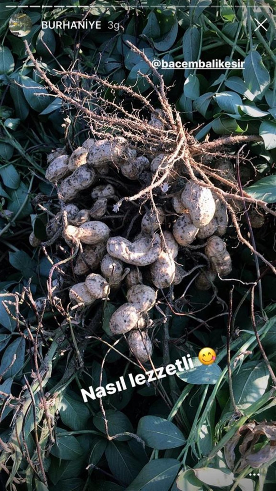 baski-genel-mudurlugunden-kamuoyuna-aciklama