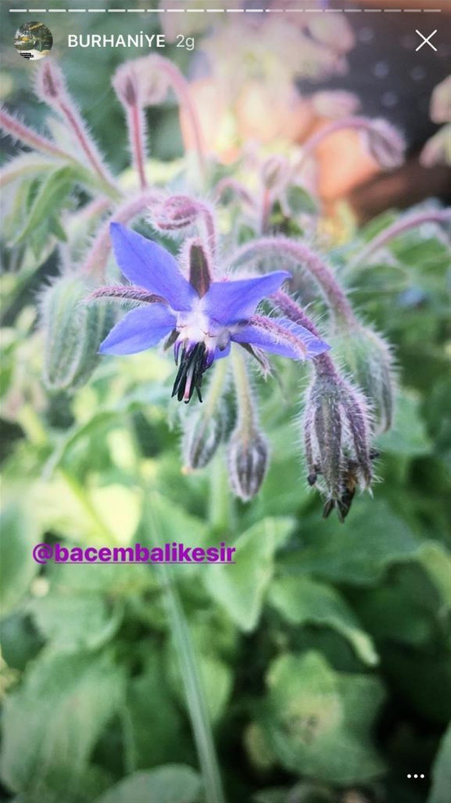 baski-genel-mudurlugunden-kamuoyuna-aciklama