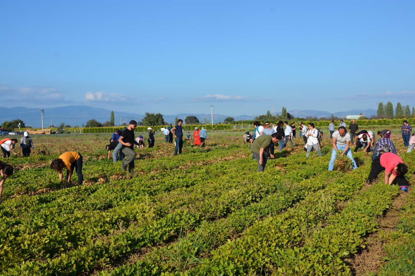 baski-genel-mudurlugunden-kamuoyuna-aciklama